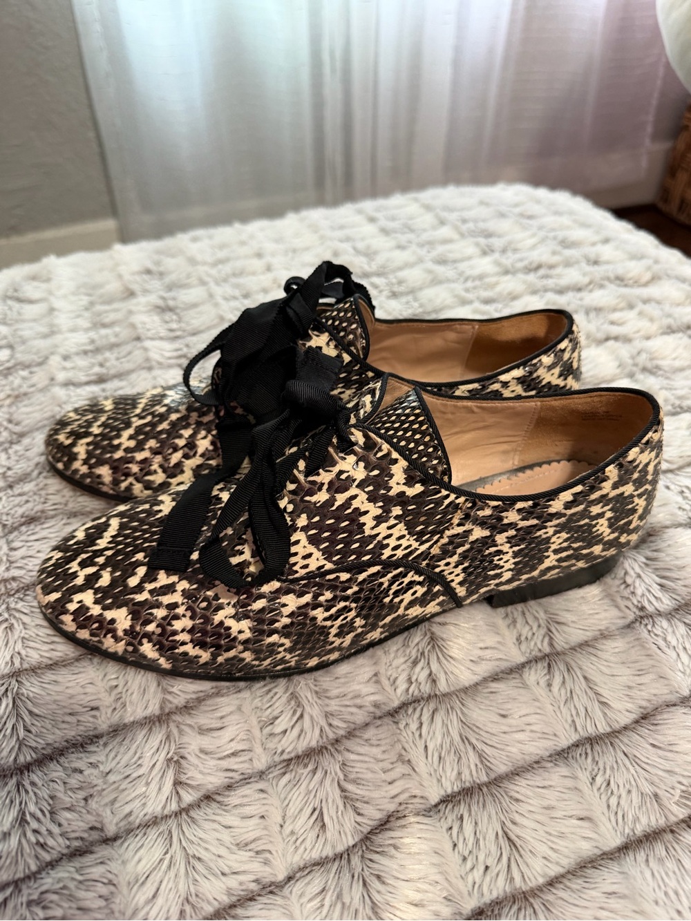 Pour La Victoire Leopard Lace-Up Oxfords - Black & Cream